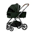 Kép 3/10 - Babakocsi - Dada Prams Flüx 2in1 - Botanical Green