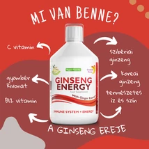 Swedish Nutra GINSENG energy - folyékony vitaminkomplex 500ml