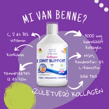 Swedish Nutra JOINT - ízületvédő folyékony kollagén, glükozamin, kondroitin és MSM 500ml - CUKORMENTES